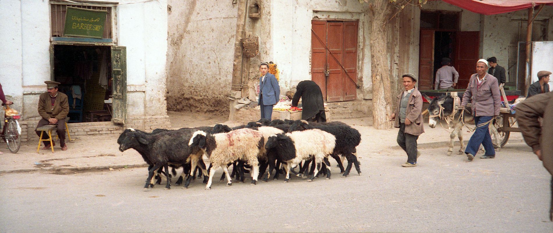 12 Kashgar Old City Street Scene 1993 Shepherd And His Sheep